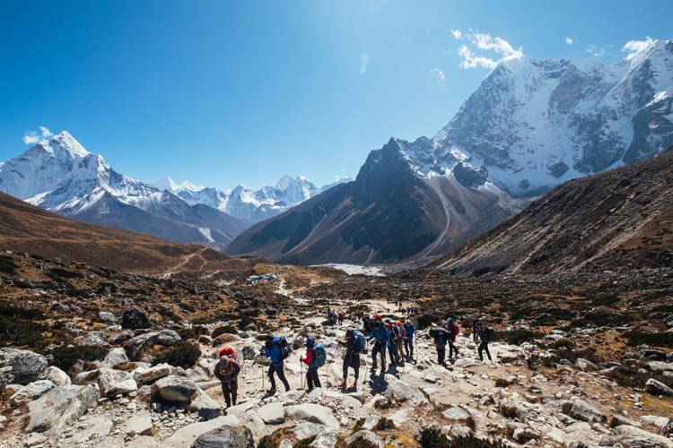 Contact for Trekking in Nepal